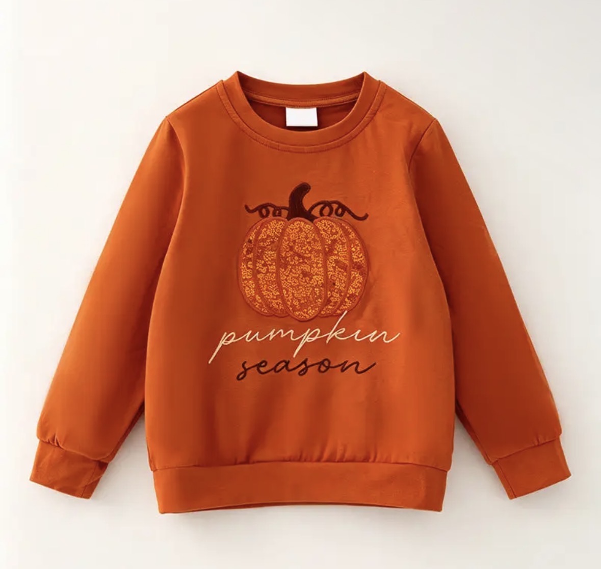 Rust Orange Sequin Pumpkin Swaetshirt