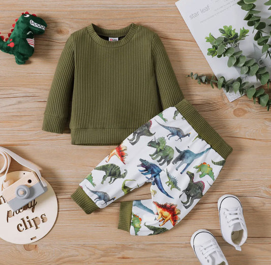2 Piece Baby Boy Cotton Pullover and Dinosaur Pant Set